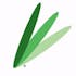 Logo for the brand MedLeaf Products